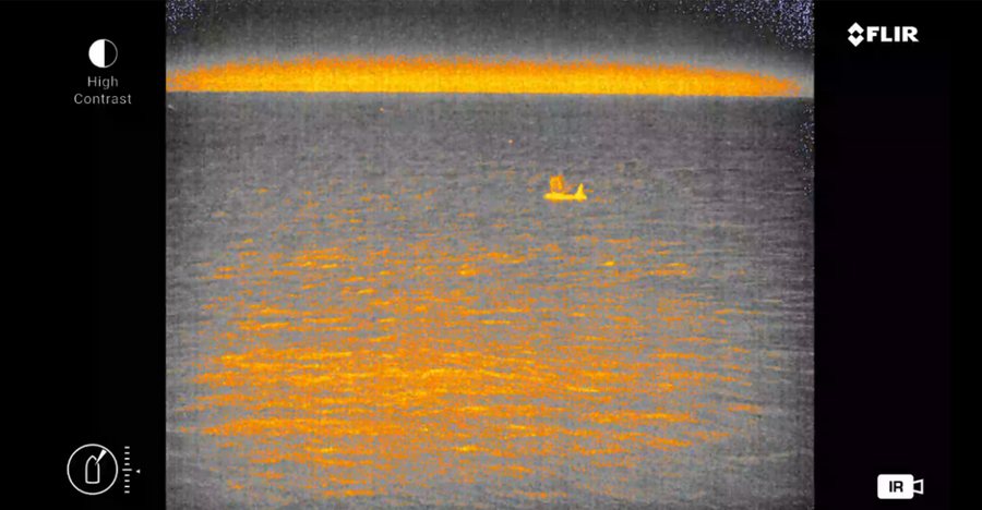 Infrared camera image of an orca at the sea surface, showing warm against the cooler water